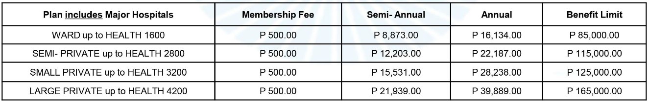 MINI-GROUP WITH ACCESS Access to Major Hospitals